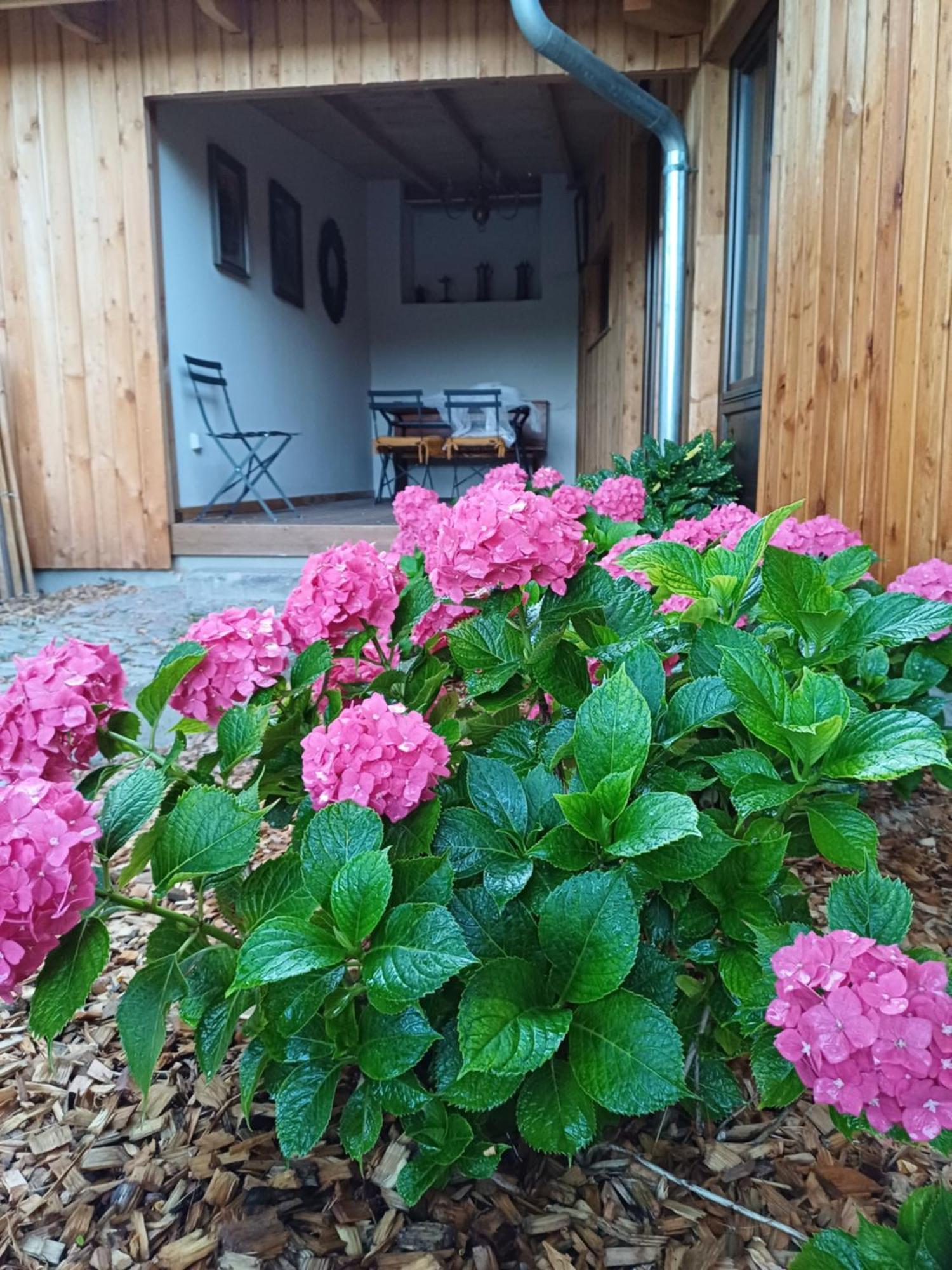 Les Cottages Du Chateau De Werde Matzenheim Exteriör bild